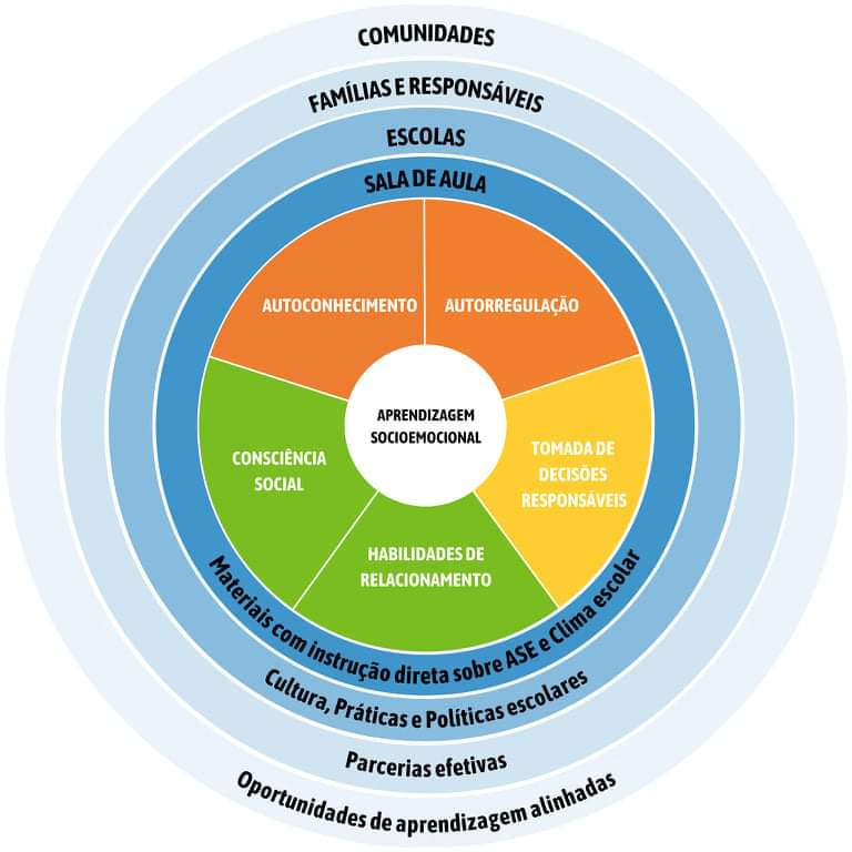 roda de competências socioemocionais 